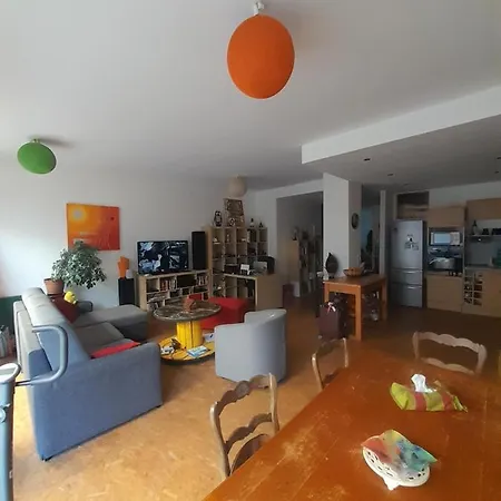 Loft Berriat/ampere Apartment *